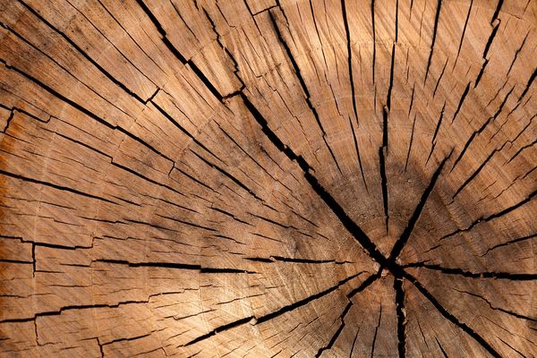 Jak dbać o konstrukcje z drewna klejonego?